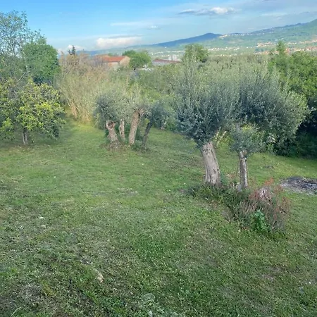 Casa Foelas The Garden