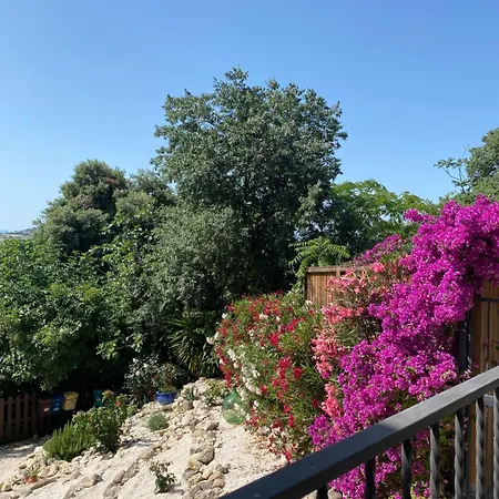 Casa de Férias Casa Foelas The Garden *