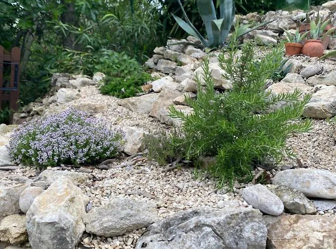 Casa Foelas The Garden Casa vacanze *